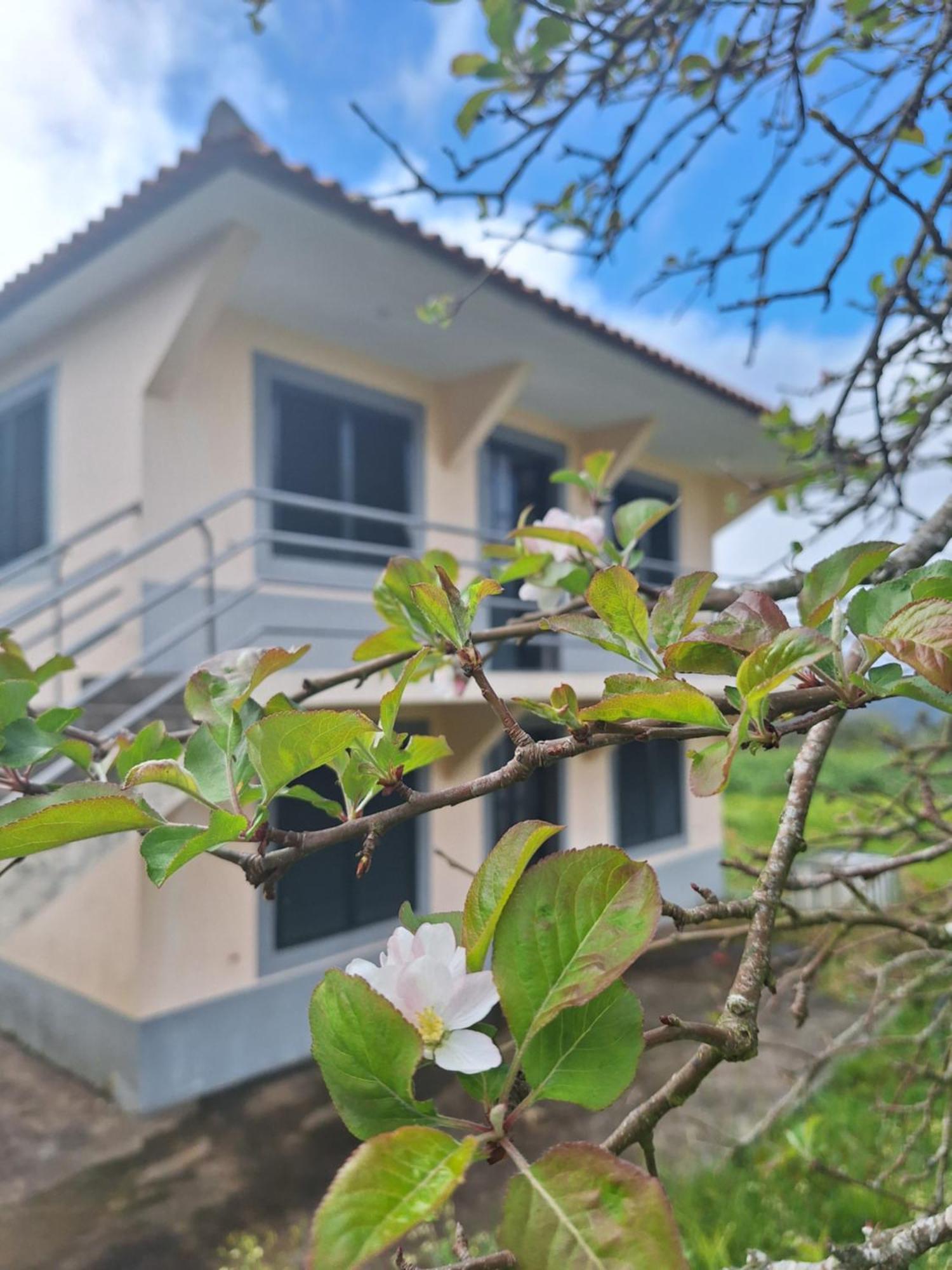 Villa Correia - Ribeiro Frio São Roque do Faial Eksteriør bilde