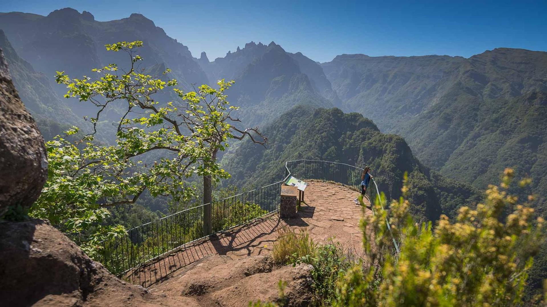 Villa Correia - Ribeiro Frio São Roque do Faial Eksteriør bilde